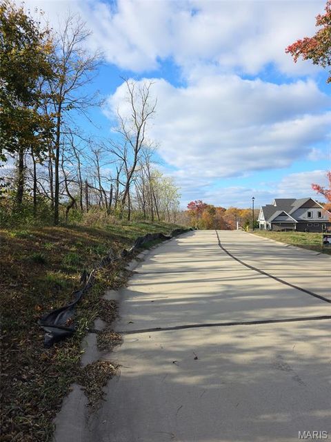 Tiny photo for 2037 Lily Avenue, Kirkwood, MO 63122 (MLS # 25074713)