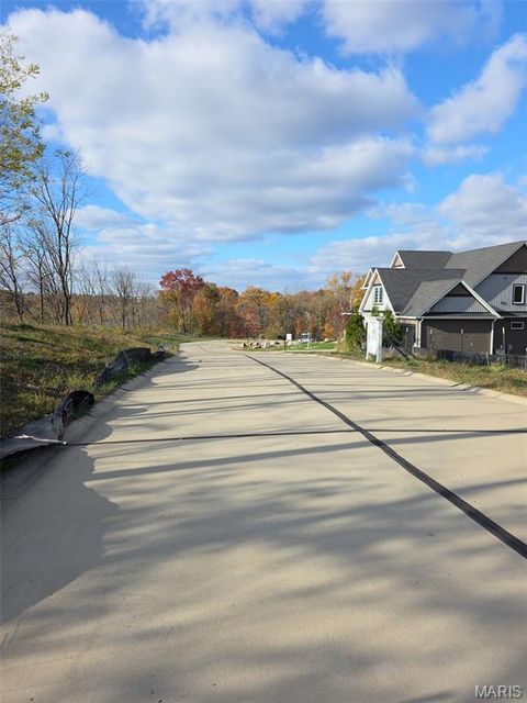 Tiny photo for 2037 Lily Avenue, Kirkwood, MO 63122 (MLS # 25074713)