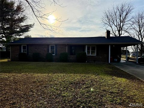 Photo of 209 Aletha Drive, Sikeston, MO 63801 (MLS # 26012412)