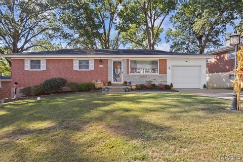 Photo of 170 Bridgeview Lane, St Louis, MO 63129 (MLS # 25066436)