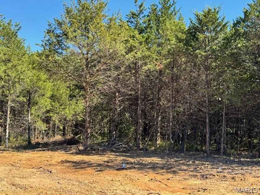 Discover the perfect balance of privacy and convenience on this beautiful building lot located on a quiet cul-de-sac road. Nestled in a peaceful, secluded setting surrounded by nature and mature trees, this property offers a tranquil retreat while still being just minutes from schools, shopping, dining, and easy interstate access for effortless commuting.
All modern amenities are already in place — high-speed fiber internet, public water, sewer, electricity, and natural gas — making it ready for your dream home. The asphalted roads provide smooth access year-round, and the cul-de-sac location ensures minimal traffic, enhancing the property’s privacy and safety.
Whether you’re looking to build your forever home or an investment property, this lot combines the best of both worlds: a private, peaceful environment with all the conveniences of modern living close at hand.