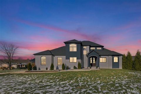 1633 Timber Ridge Columbia IL 62236