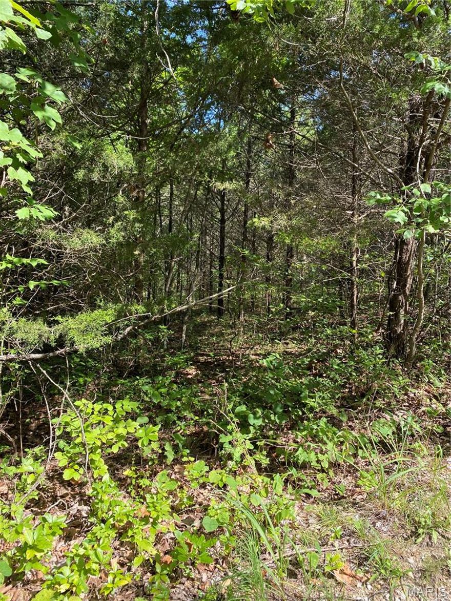 NEW PRICE!  72.55+/- acres of rolling and level wooded property in natural state with some open areas. Current zoning is residential LR-2. Road frontage is located along Highway 67 with no cleared entry to the property. Build your dream home or use for recreational purpose.