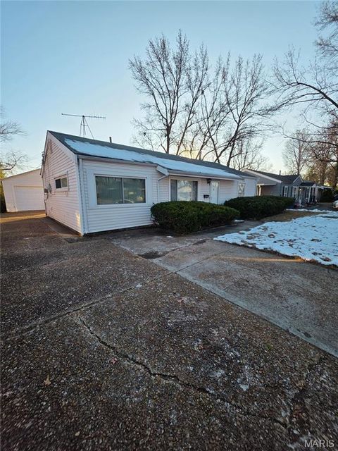 Photo of 9808 Lorna Lane, Unincorporated, MO 63136 (MLS # 25080338)