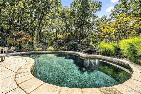 Tiny photo for 16916 Pacland Ridge Drive, Chesterfield, MO 63005 (MLS # 26021553)