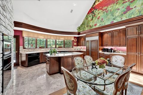 Tiny photo for 16916 Pacland Ridge Drive, Chesterfield, MO 63005 (MLS # 26021553)