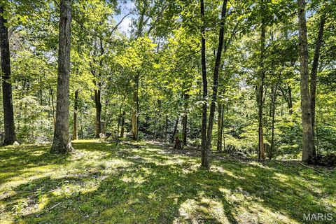 Tiny photo for 16916 Pacland Ridge Drive, Chesterfield, MO 63005 (MLS # 26021553)