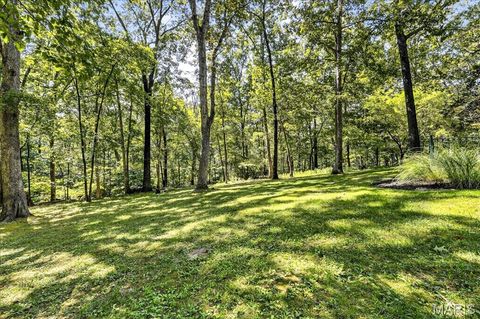 Tiny photo for 16916 Pacland Ridge Drive, Chesterfield, MO 63005 (MLS # 26021553)