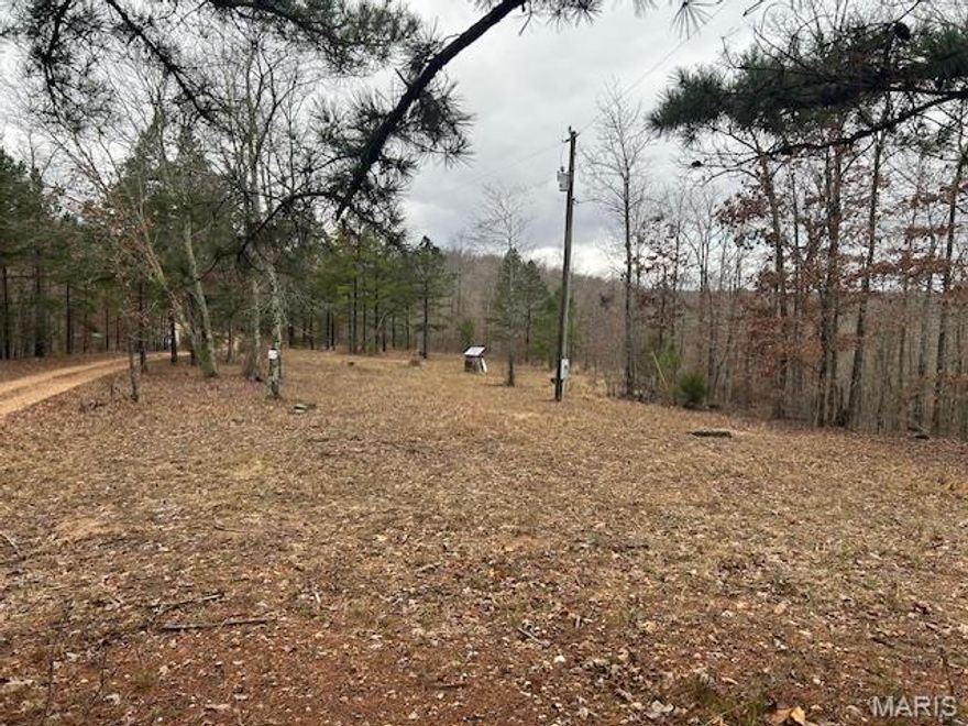 Great weekend or year round place to build your home or camp. Just a short drive to the Black River. All utilities in place. Mostly wooded with large road frontage. Hunt , Fish or ride your ATV on many miles of trails. Several Lakes nearby.  Seller will
consider owner financing.
