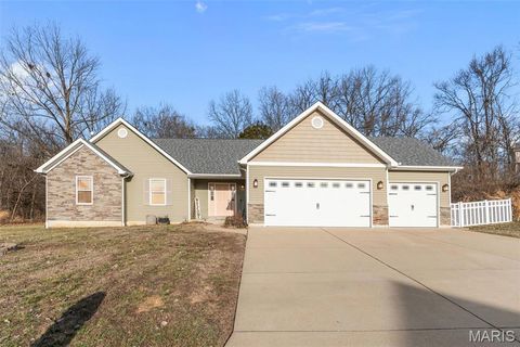 1561 Timber Wolf Drive Festus MO 63028
