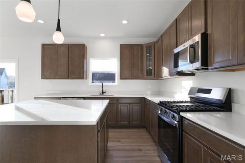 Tiny photo for 603 Tull Court, Wentzville, MO 63385 (MLS # 26016410)