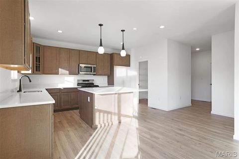 Tiny photo for 603 Tull Court, Wentzville, MO 63385 (MLS # 26016410)