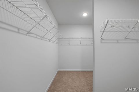 Tiny photo for 603 Tull Court, Wentzville, MO 63385 (MLS # 26016410)