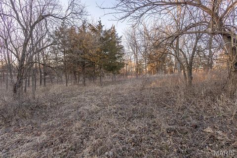 Tiny photo for 48883 Huntington Lane, New London, MO 63459 (MLS # 26010389)