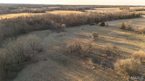 Tiny photo for 48883 Huntington Lane, New London, MO 63459 (MLS # 26010389)