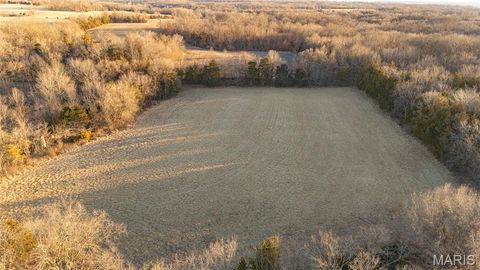 Tiny photo for 48883 Huntington Lane, New London, MO 63459 (MLS # 26010389)