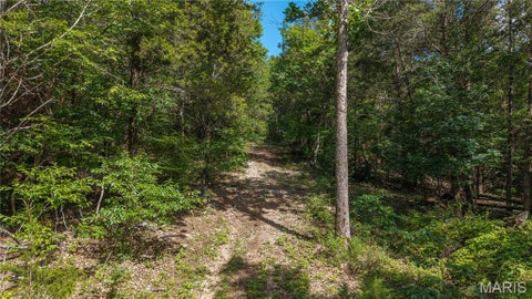 Tiny photo for 65 Madison 515 ST, Arcadia, MO 63621 (MLS # 26048214)