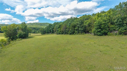 Tiny photo for 65 Madison 515 ST, Arcadia, MO 63621 (MLS # 26048214)