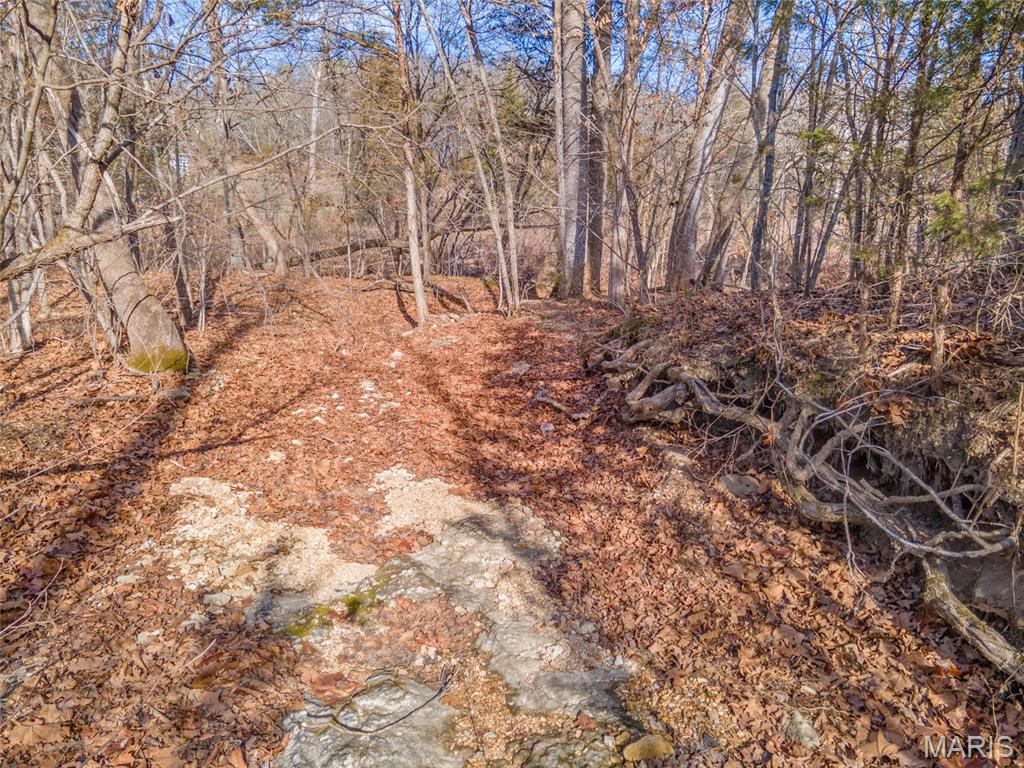 Brook Hollow 02 - Land