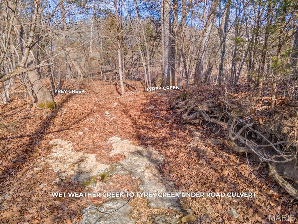 Brook Hollow 02 - Land