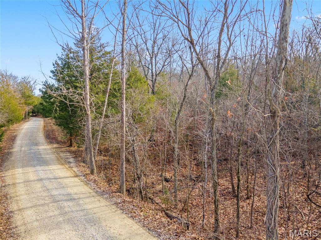 Brook Hollow 02 - Land