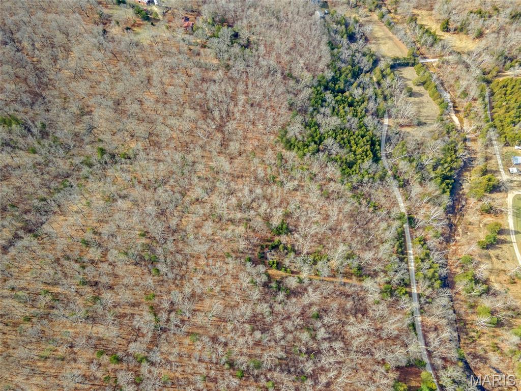 Brook Hollow 02 - Land