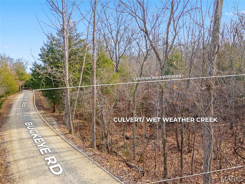 Brook Hollow 02 - Land