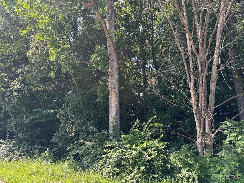 556 Village Drive W