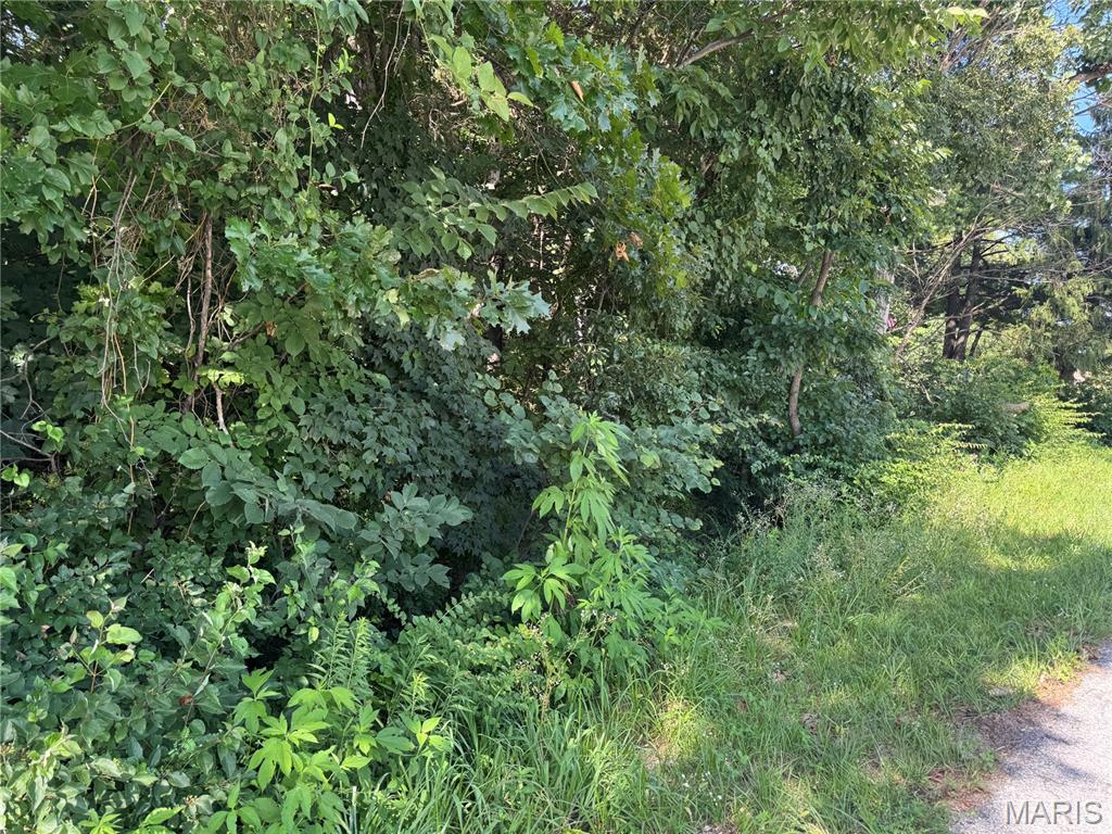 556 Village Drive W