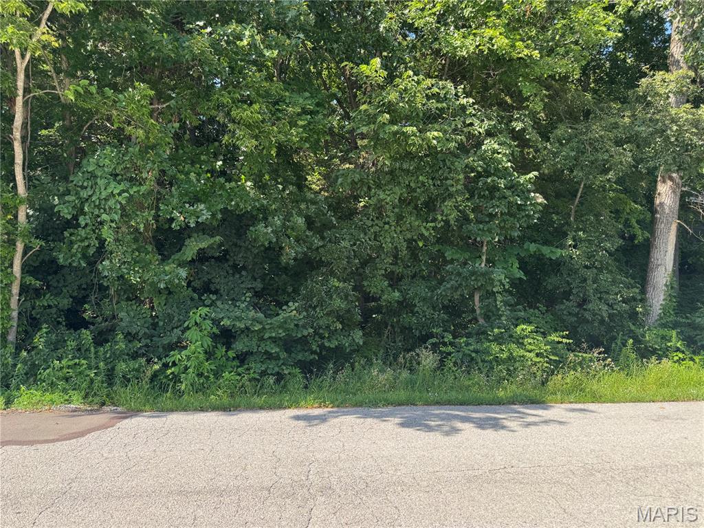 556 Village Drive W