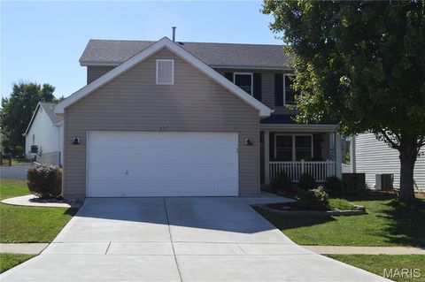 Photo of 357 Briarchase Circle, Lake Saint Louis, MO 63367 (MLS # 25067911)