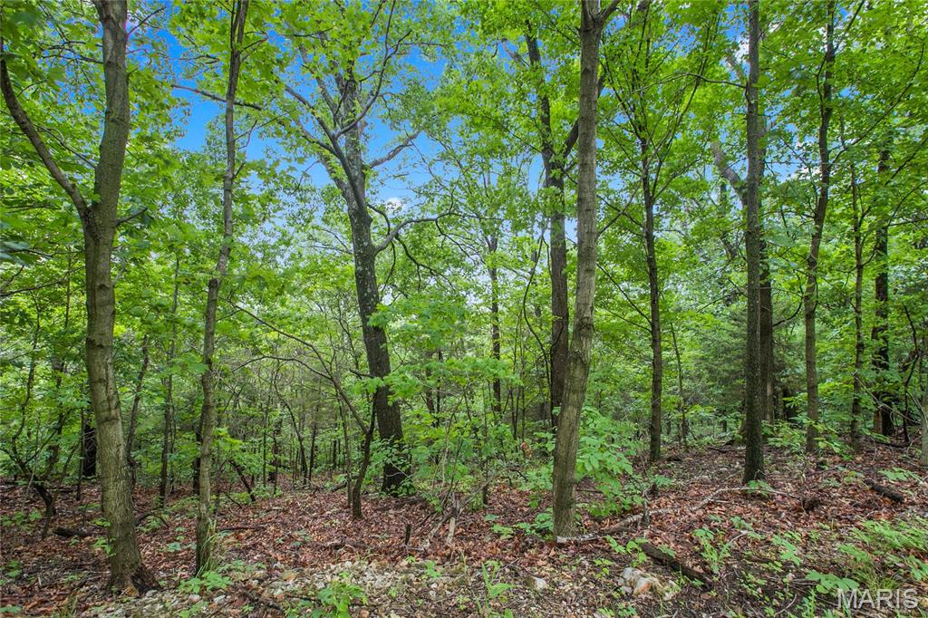 9 acres Clermont Drive