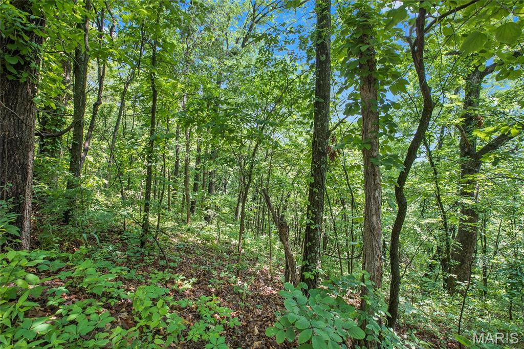 9 acres Clermont Drive