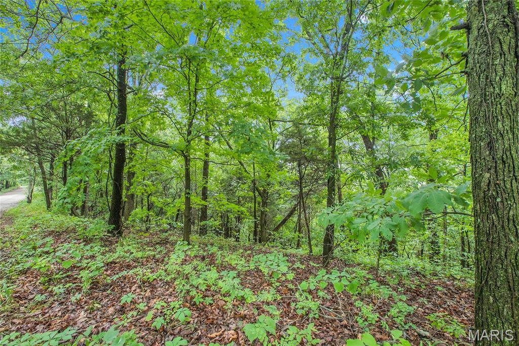 9 acres Clermont Drive