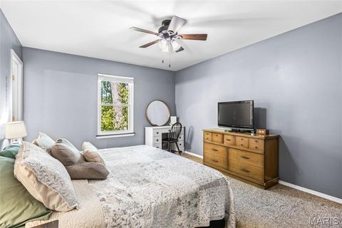 Tiny photo for 6009 Jennifer Lane, House Springs, MO 63051 (MLS # 26023975)