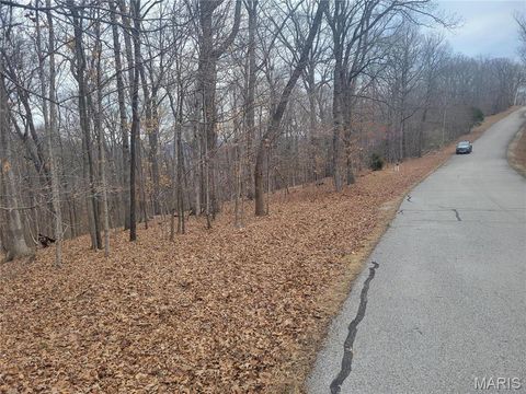 437 Big River Vw Eureka MO 63025