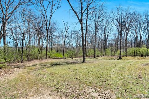 Tiny photo for 40 Forest Acres Lane, Troy, MO 63379 (MLS # 26019317)