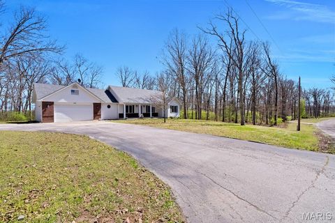 Tiny photo for 40 Forest Acres Lane, Troy, MO 63379 (MLS # 26019317)