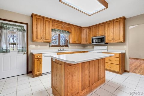 Tiny photo for 40 Forest Acres Lane, Troy, MO 63379 (MLS # 26019317)