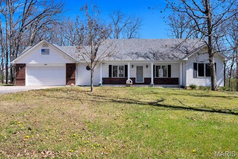 Photo of 40 Forest Acres Lane, Troy, MO 63379 (MLS # 26019317)