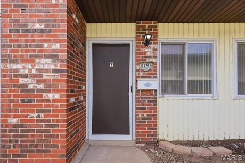 Photo of 8795 Sieloff Drive, St Louis, MO 63042 (MLS # 26020885)