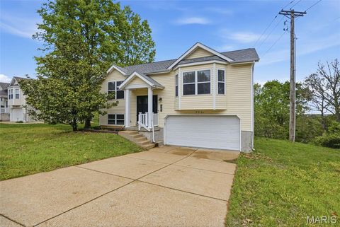 Photo of 7701 Locust Drive, Barnhart, MO 63012 (MLS # 26021961)