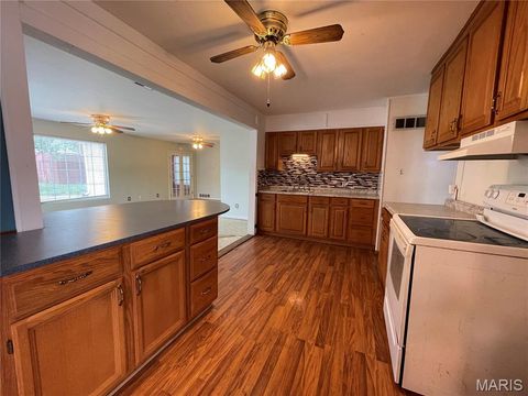 Tiny photo for 4140 Tesson Street, St Louis, MO 63123 (MLS # 25069449)