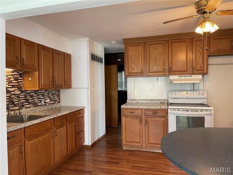Tiny photo for 4140 Tesson Street, St Louis, MO 63123 (MLS # 25069449)