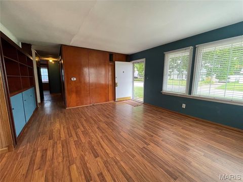 Tiny photo for 4140 Tesson Street, St Louis, MO 63123 (MLS # 25069449)