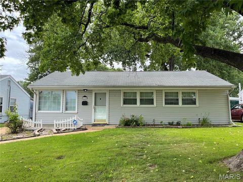 Tiny photo for 4140 Tesson Street, St Louis, MO 63123 (MLS # 25069449)