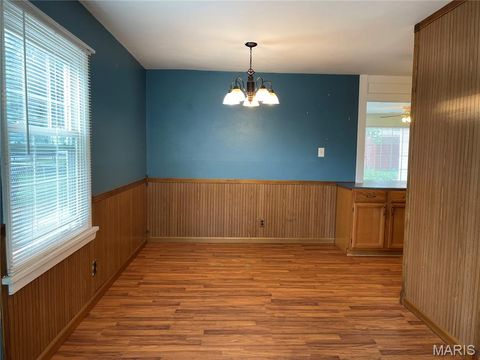 Tiny photo for 4140 Tesson Street, St Louis, MO 63123 (MLS # 25069449)