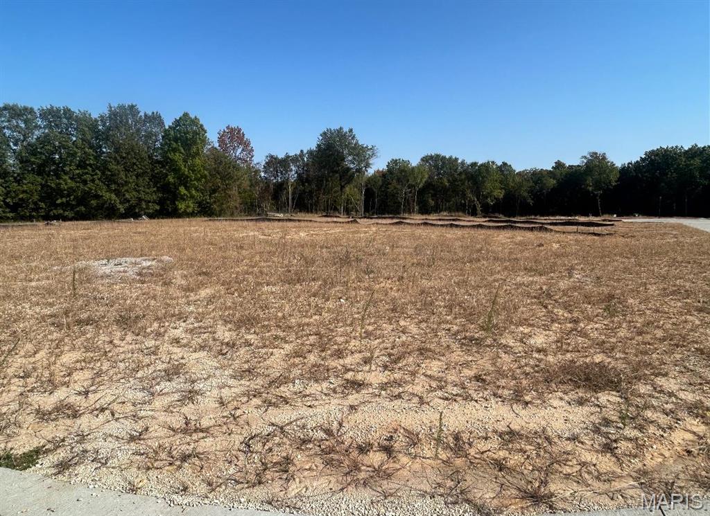 The Estates at Schaper Farms - Land