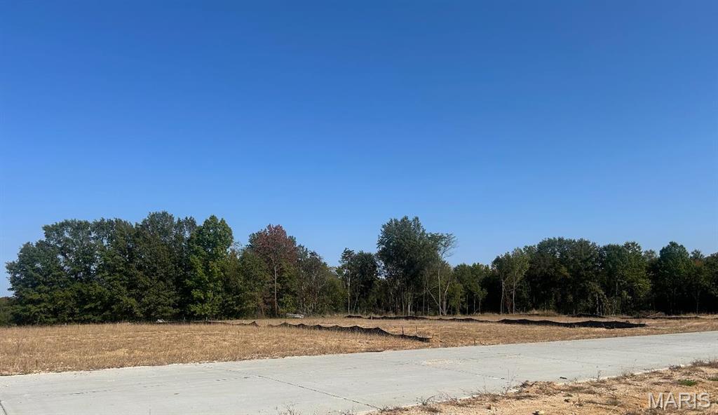 The Estates at Schaper Farms - Land