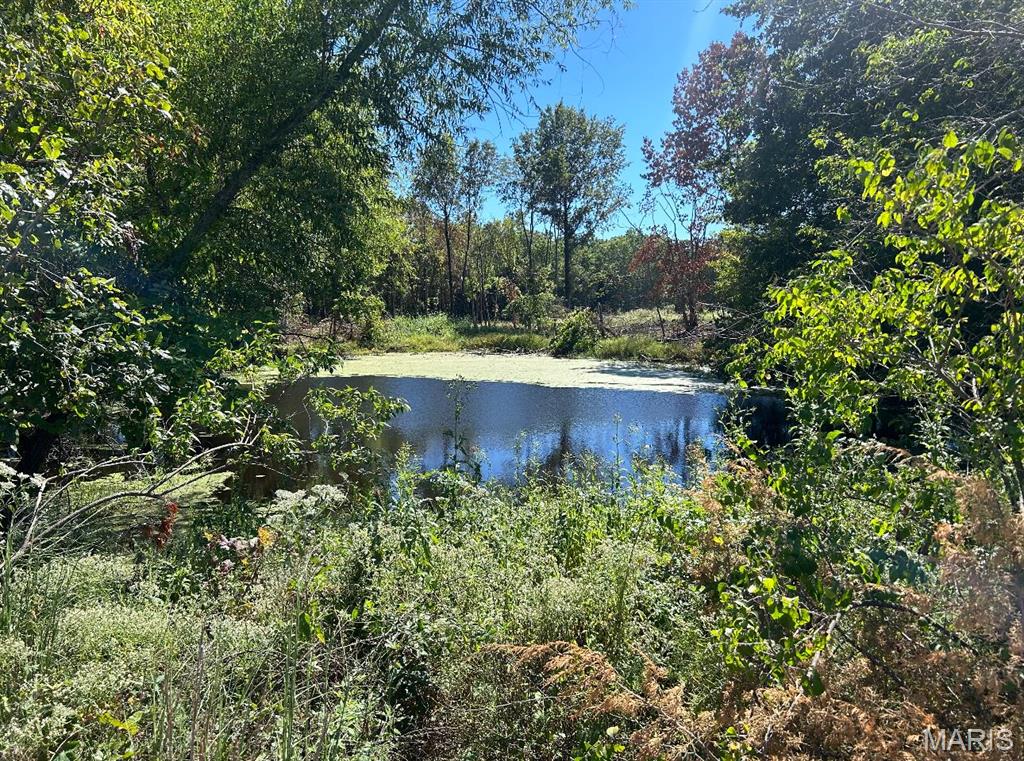 The Estates at Schaper Farms - Land
